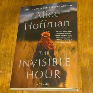 Alice Hoffman the invisible hour book